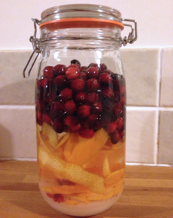 Cranberry & Orange Vodka Preparation